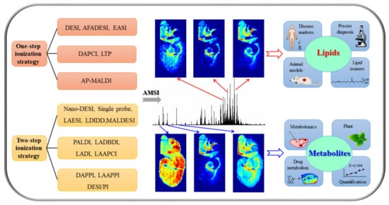 Metabolites 11 00780 g001 550