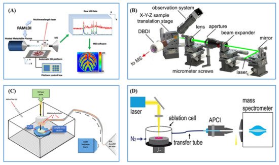Metabolites 11 00780 g004 550