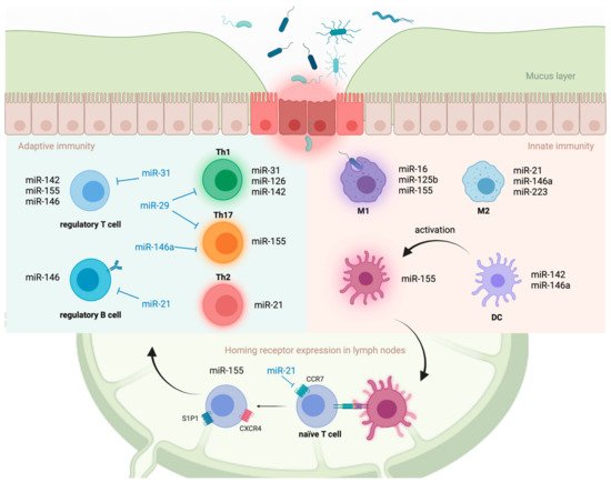 Immuno 01 00039 g003 550