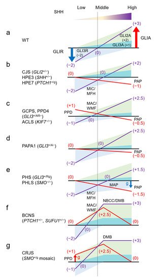 Ijms 22 13060 g003 550