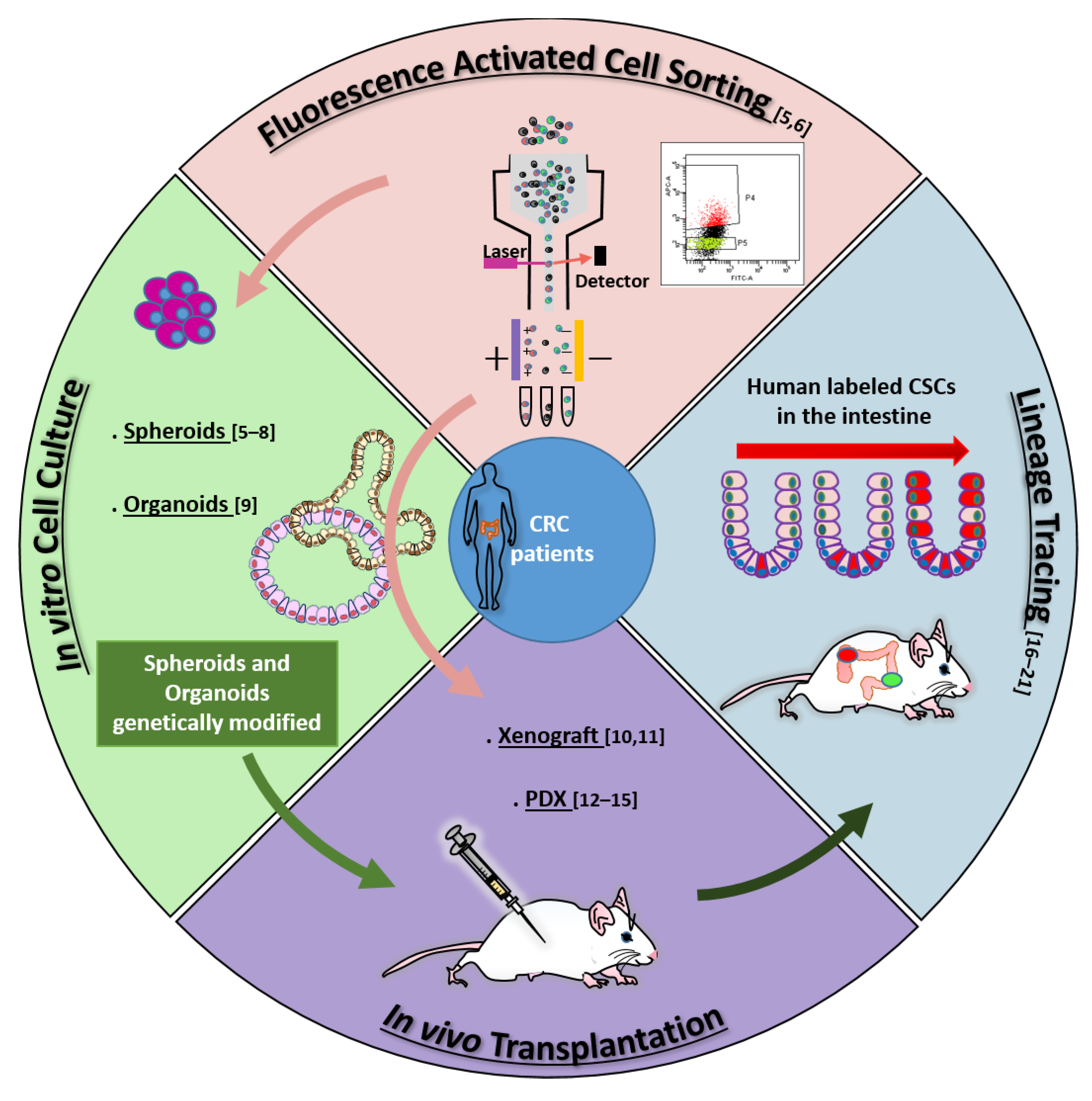 Cancers 13 05910 g001