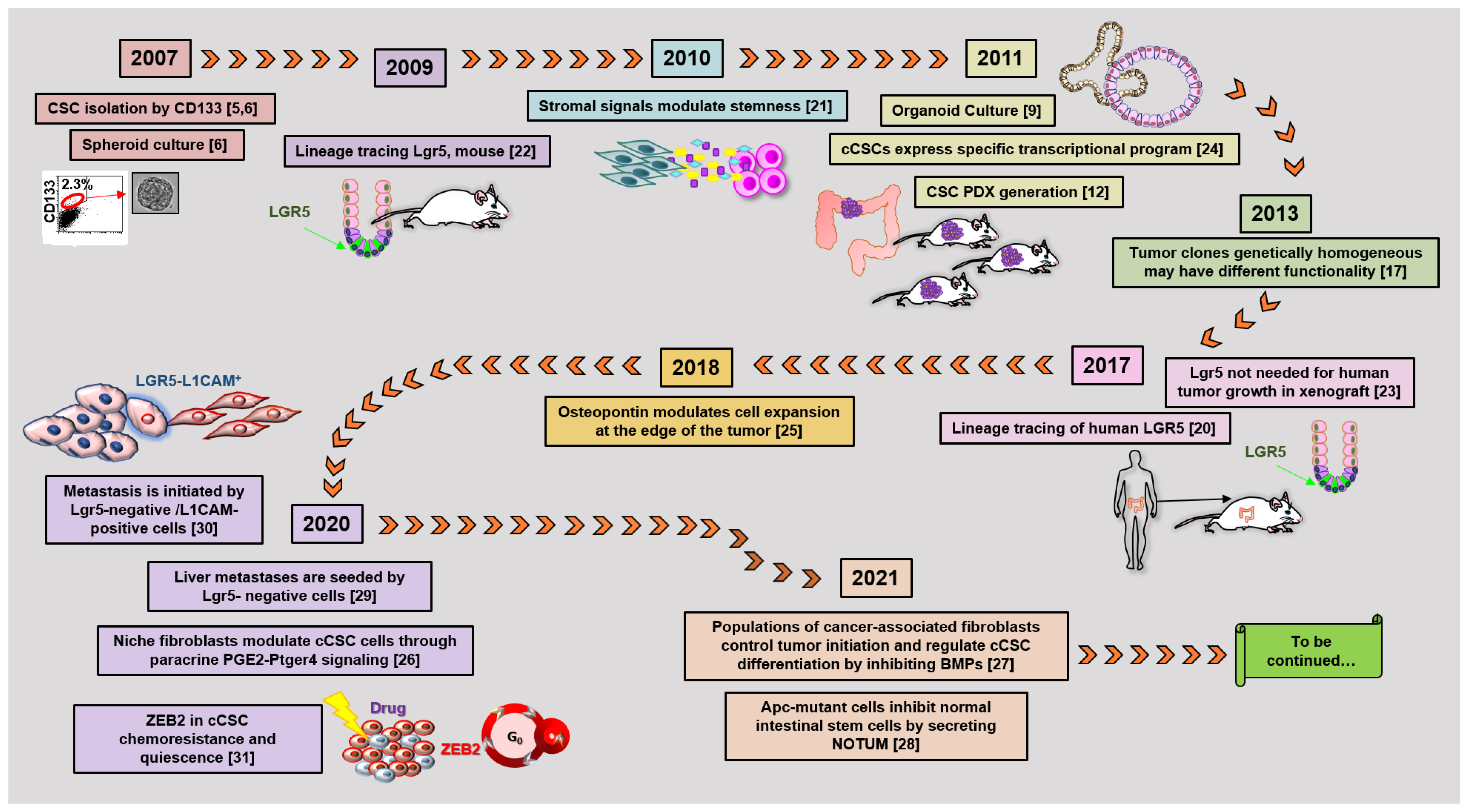 Cancers 13 05910 g002