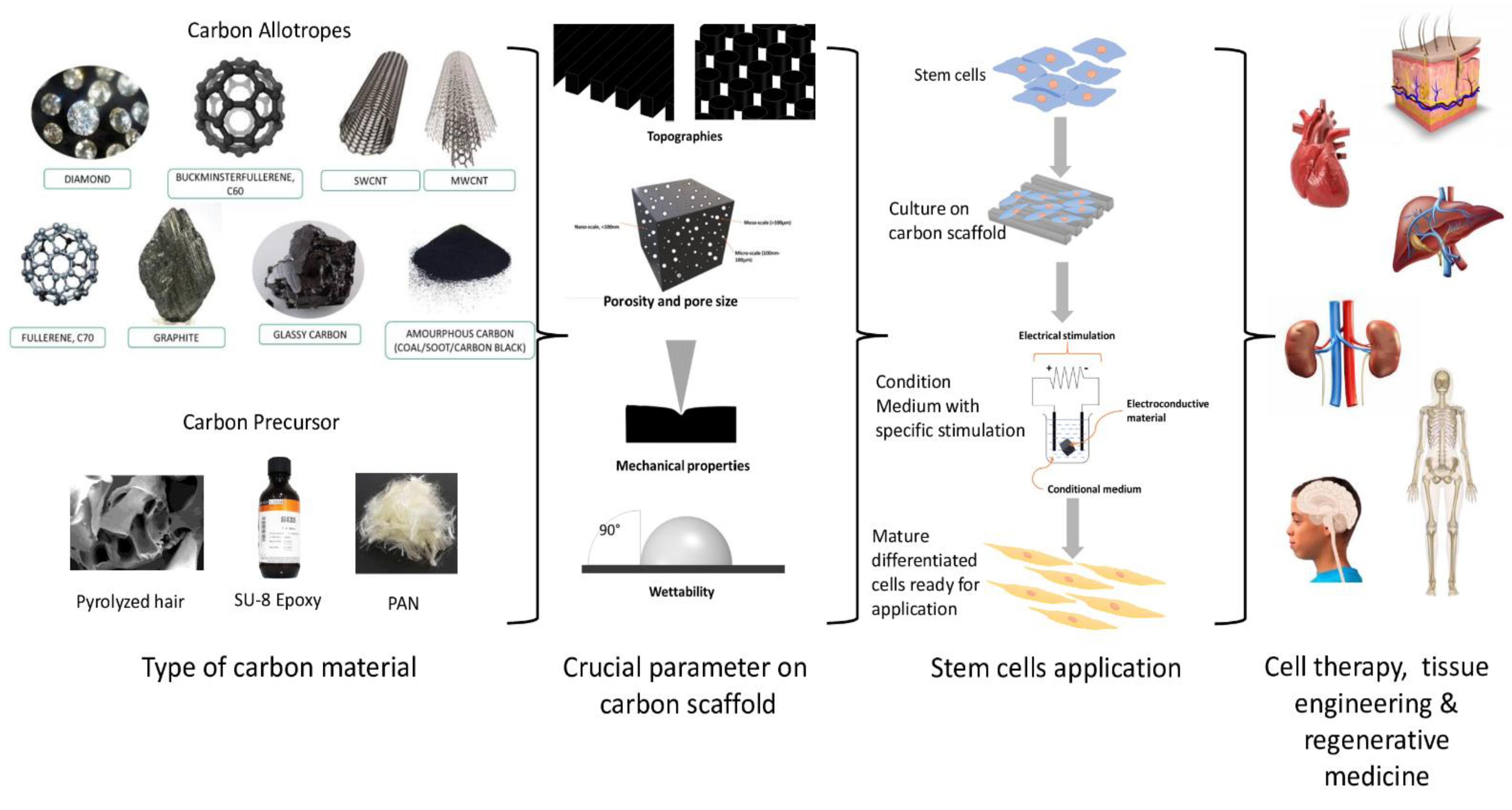 Polymers 13 04058 g001