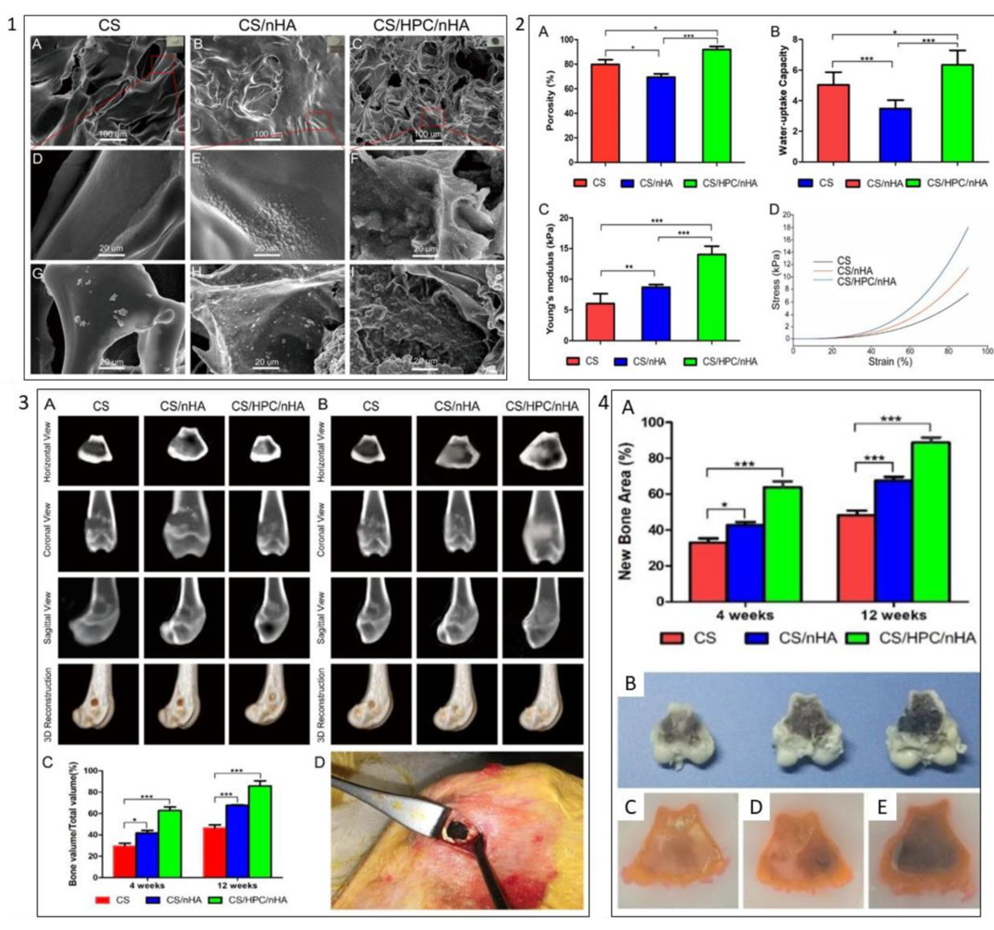 Polymers 13 04058 g009