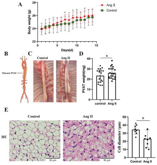 Biomedicines 09 01820 g002 550