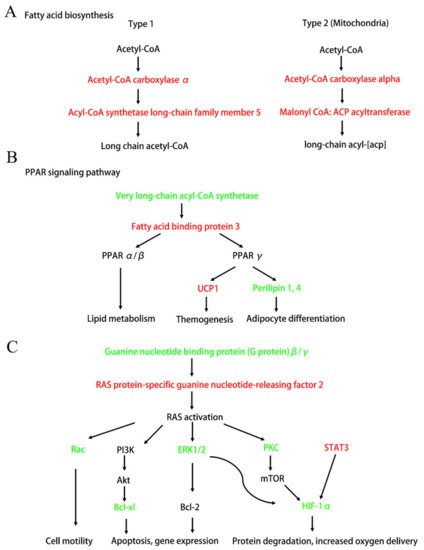 Biomedicines 09 01820 g006 550
