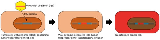 Microorganisms 09 02538 g001 550