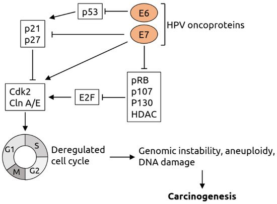 Microorganisms 09 02538 g002 550