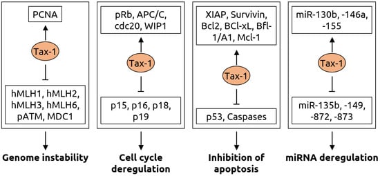 Microorganisms 09 02538 g005 550
