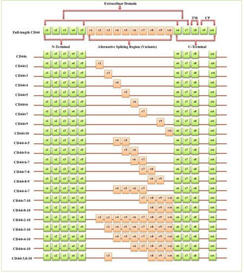 Biomolecules 11 01850 g001 550