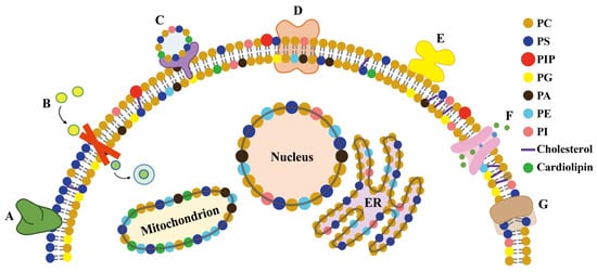 膜 11 00984 g011 550