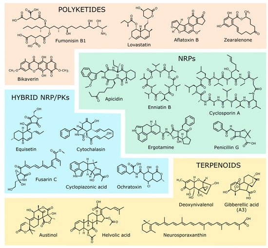 Encyclopedia 02 00001 g001 550