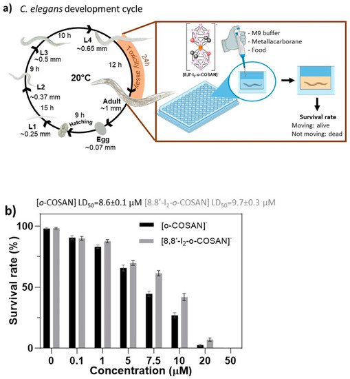 Cancers 13 06367 g008 550