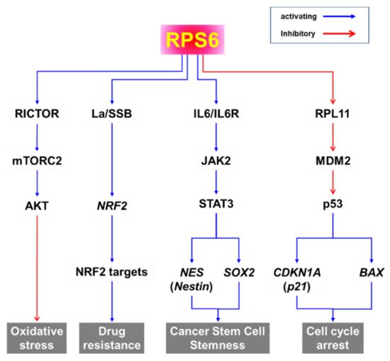 Ijms 23 00048 g006 550