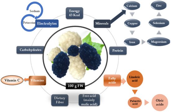 Plants 11 00152 g002 550