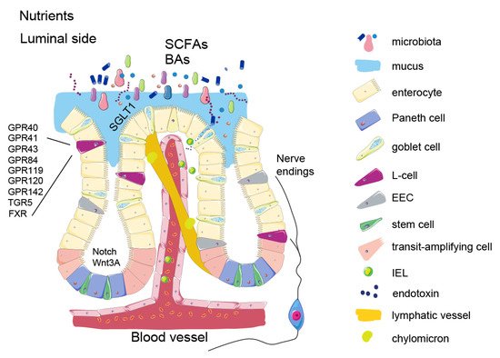 Metabolites 12 00039 g001 550