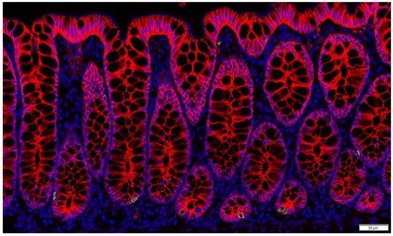 Metabolites 12 00039 g002 550