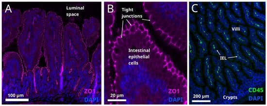 Metabolites 12 00039 g004 550