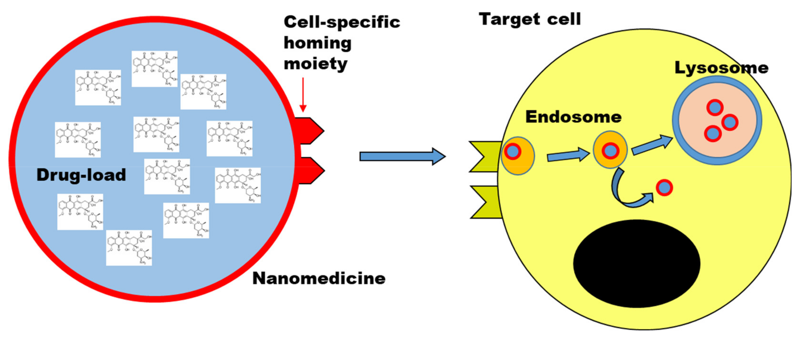 Pharmaceutics 14 00217 g002