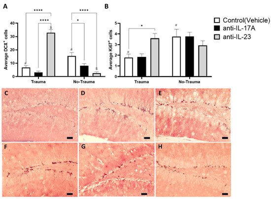 Cells 11 00343 g003 550