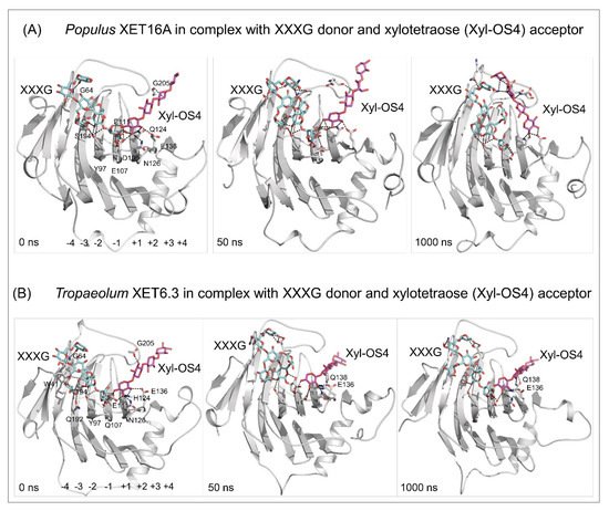 Ijms 23 01656 g005 550