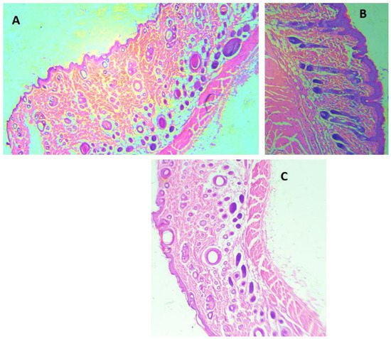 Antioxidants 11 00332 g004 550
