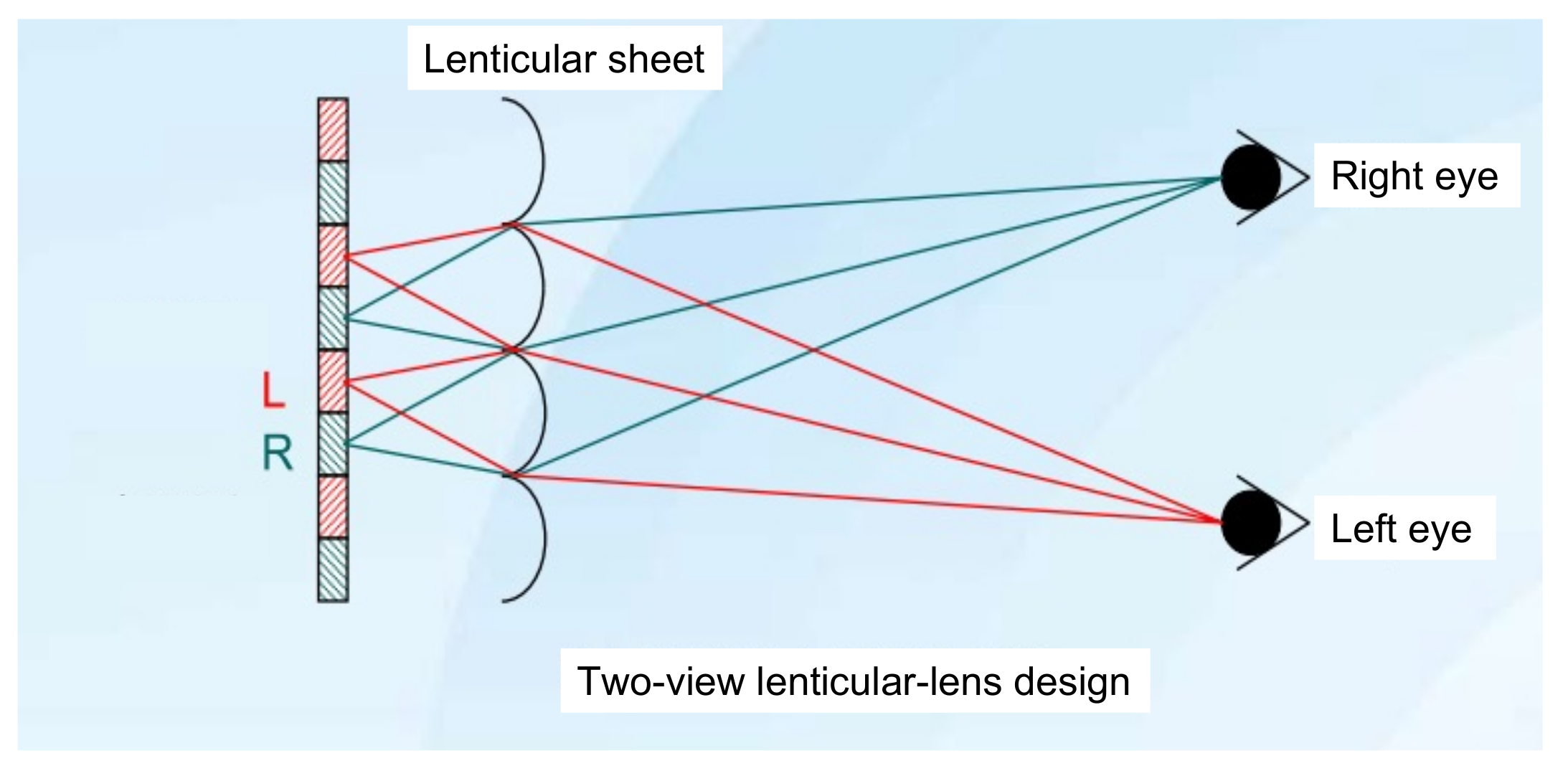 Nanomaterials 12 00429 g004