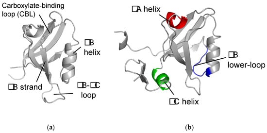 Ijms 23 01454 g001 550