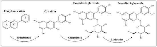 Ijms 23 02149 g001 550