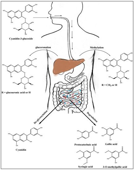 Ijms 23 02149 g005 550