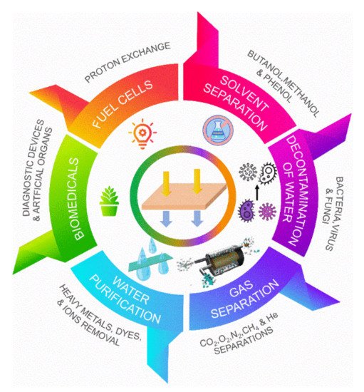 Membranes 12 00247 g001 550