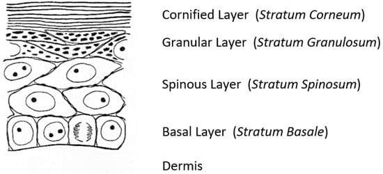 Ijms 23 01455 g001 550