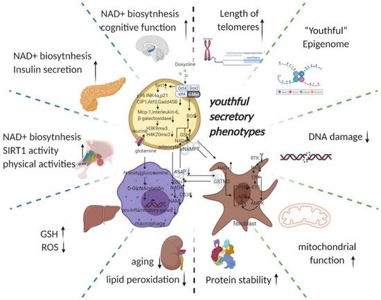 电池 11 00830 g002 550