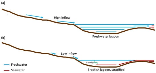 Jmse 10 00347 g002 550
