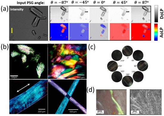 Molecules 27 01802 g003 550