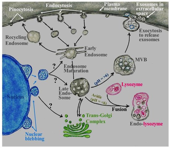 Biology 11 00413 g001 550