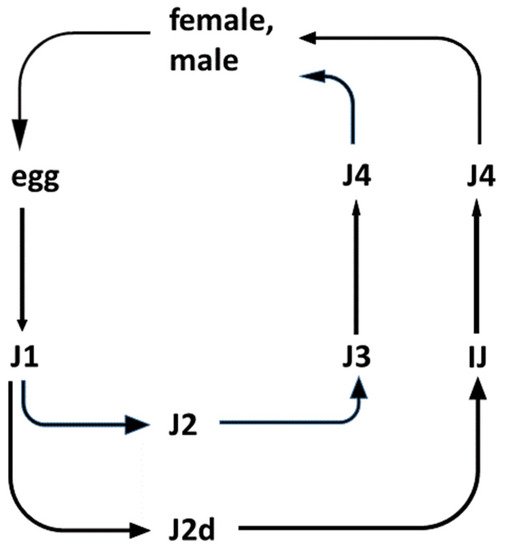 Pathogens 11 00342 g001 550