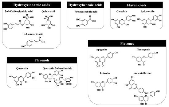 Ijms 23 03197 g003 550