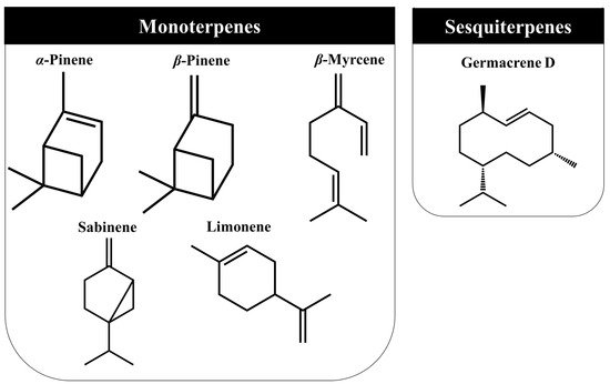 Ijms 23 03197 g004 550