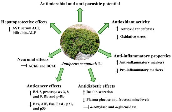 Ijms 23 03197 g005 550