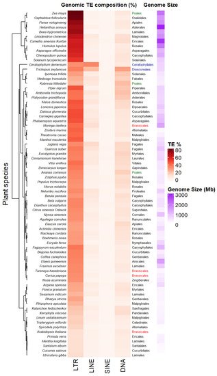 Biology 11 00488 g002 550