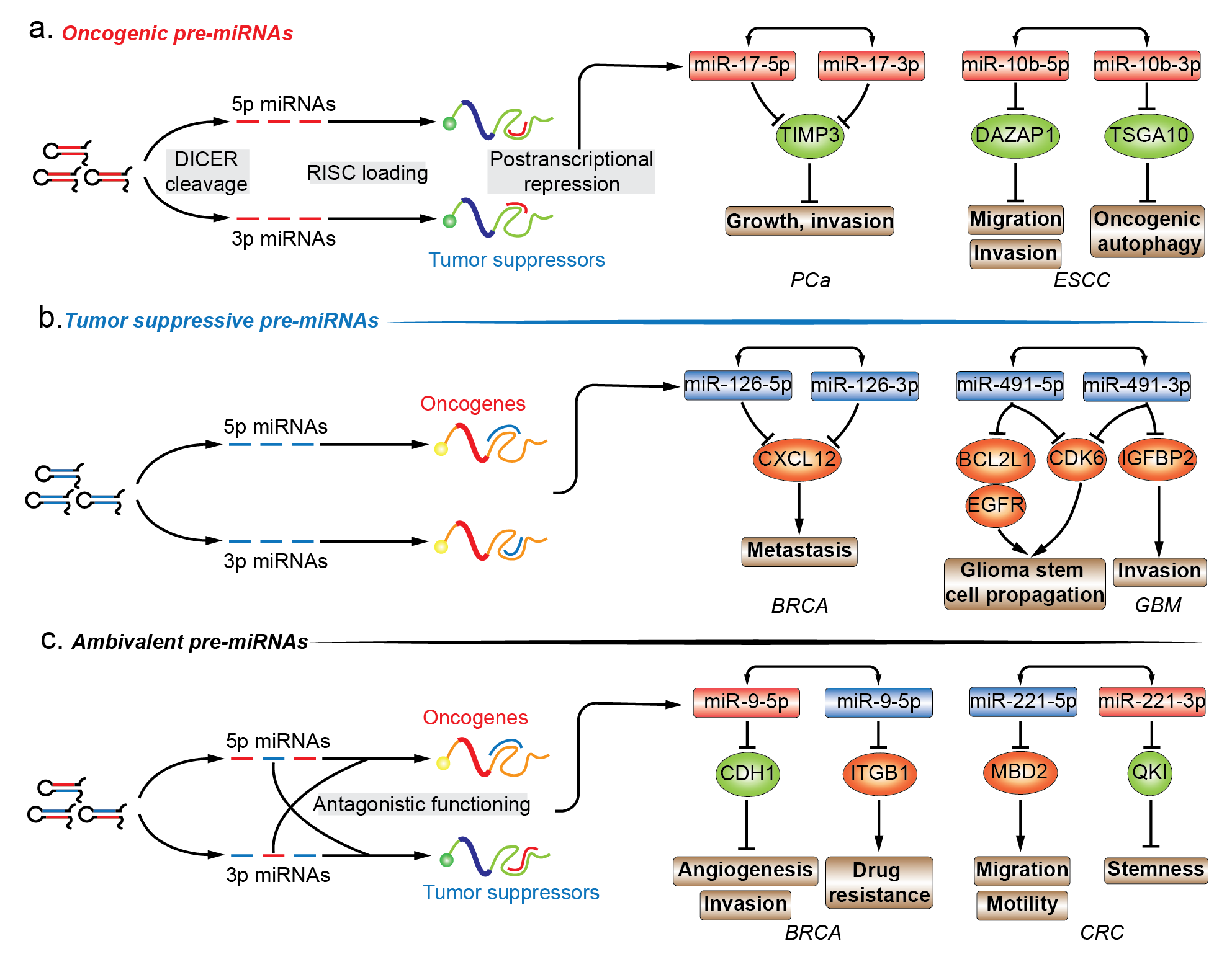 Cancers 12 03831 g002 550