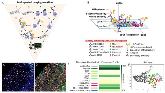 Cancers 14 01861 g001 550