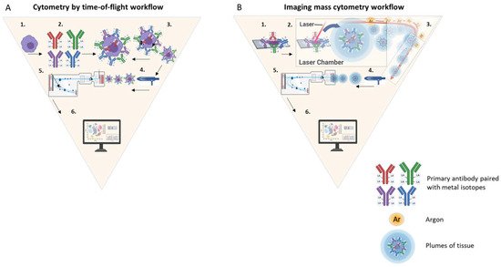 Cancers 14 01861 g002 550