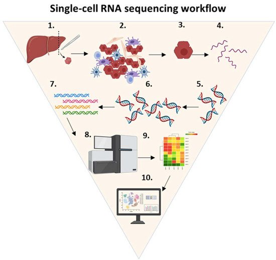Cancers 14 01861 g004 550