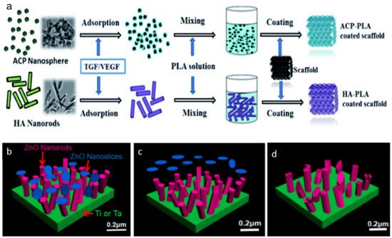 Materials 14 02647 g007 550