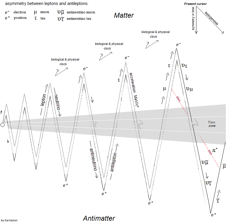 Fermionic Model & Aymmetry Matter Antimatter Fermionic Model & Aymmetry Matter Antimatter