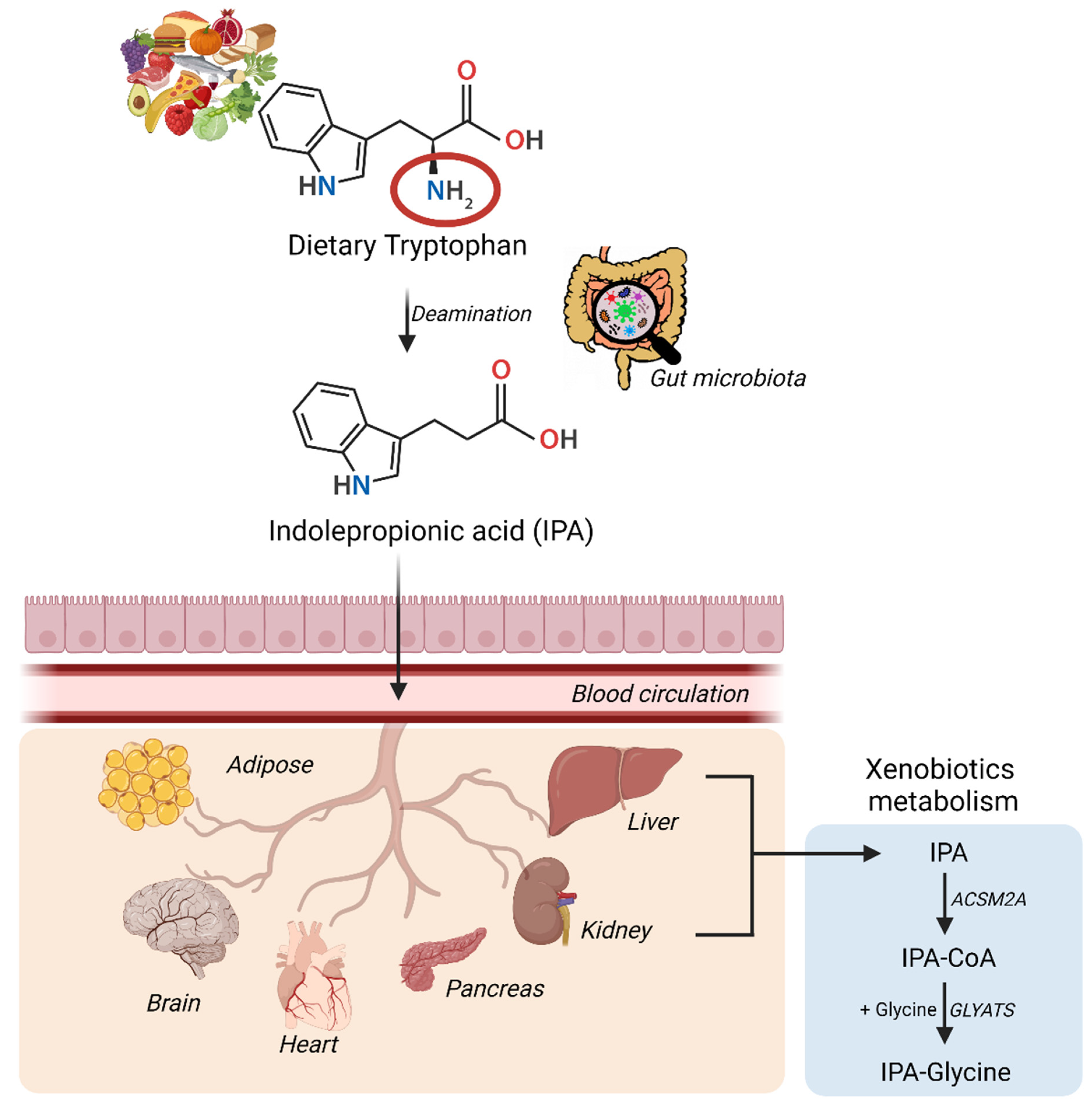 Nutrients 14 04695 g001