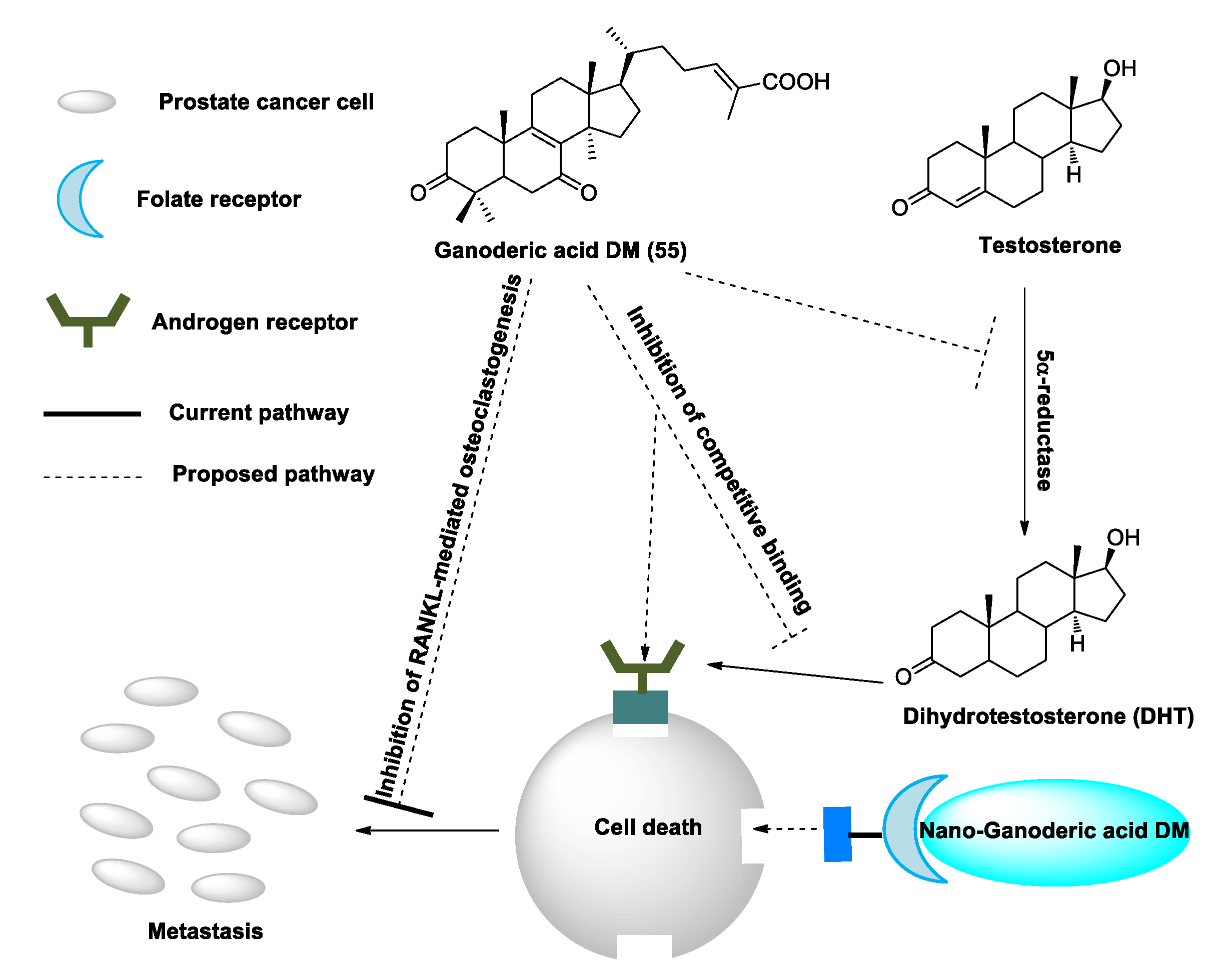Biomolecules 13 00024 g003