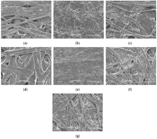 Coatings 10 00497 g006 550